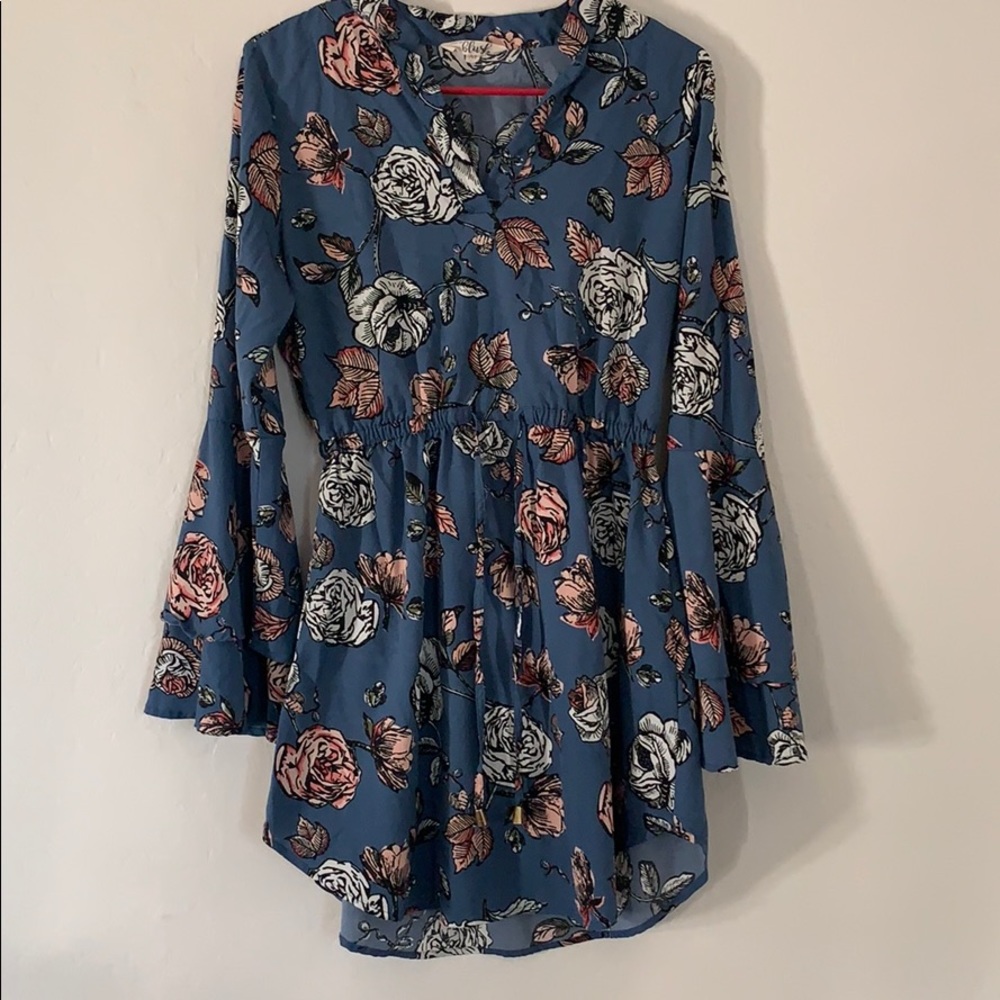 Blush Dress (Flared Sleeves)